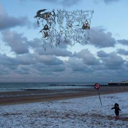 Chiasse Raciale : Chiasse Brisée